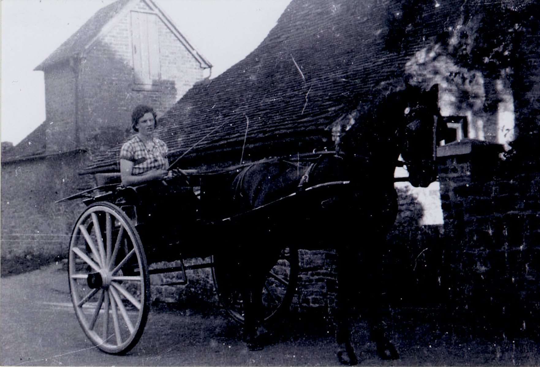 Honor Atkins driving a horse and cart NEBYM:2015.60.58