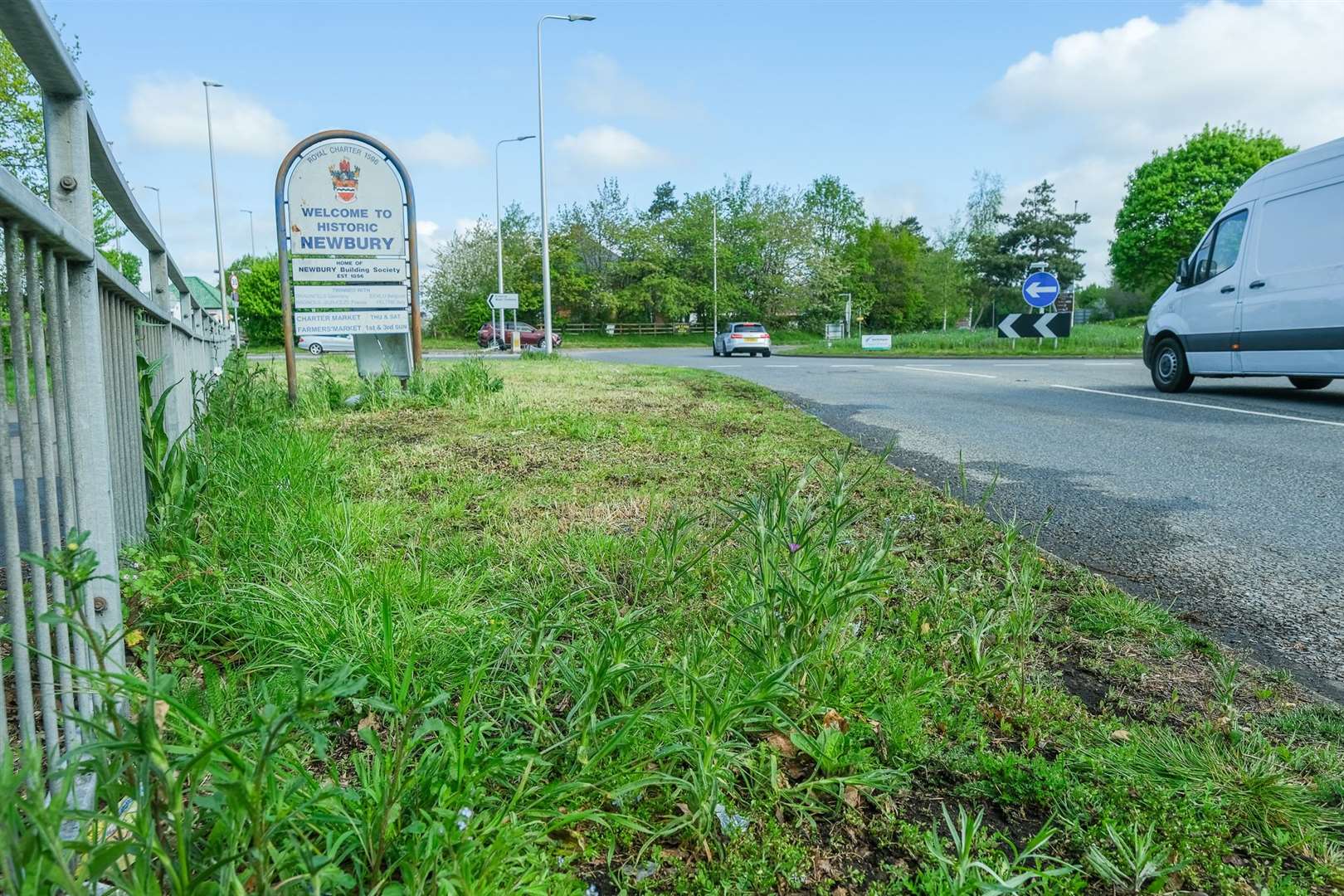 Wildflowers have been mown in error