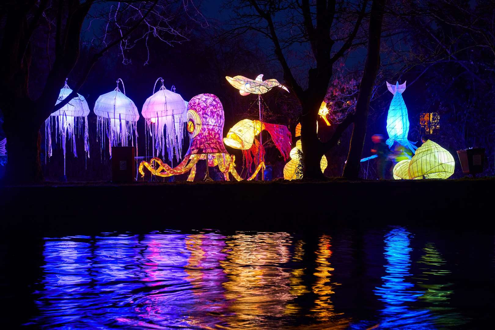 Winter Lantern Trail 2020 - Credit Adam Hillier (47417434)