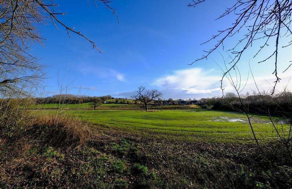 The fields in Thatcham where some of the 2,500 homes could be built