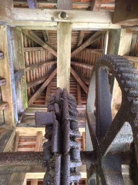 Where and what is this? (47917897)