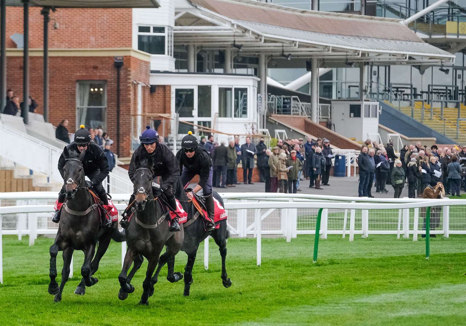 The Paul Nicholls team at Newbury