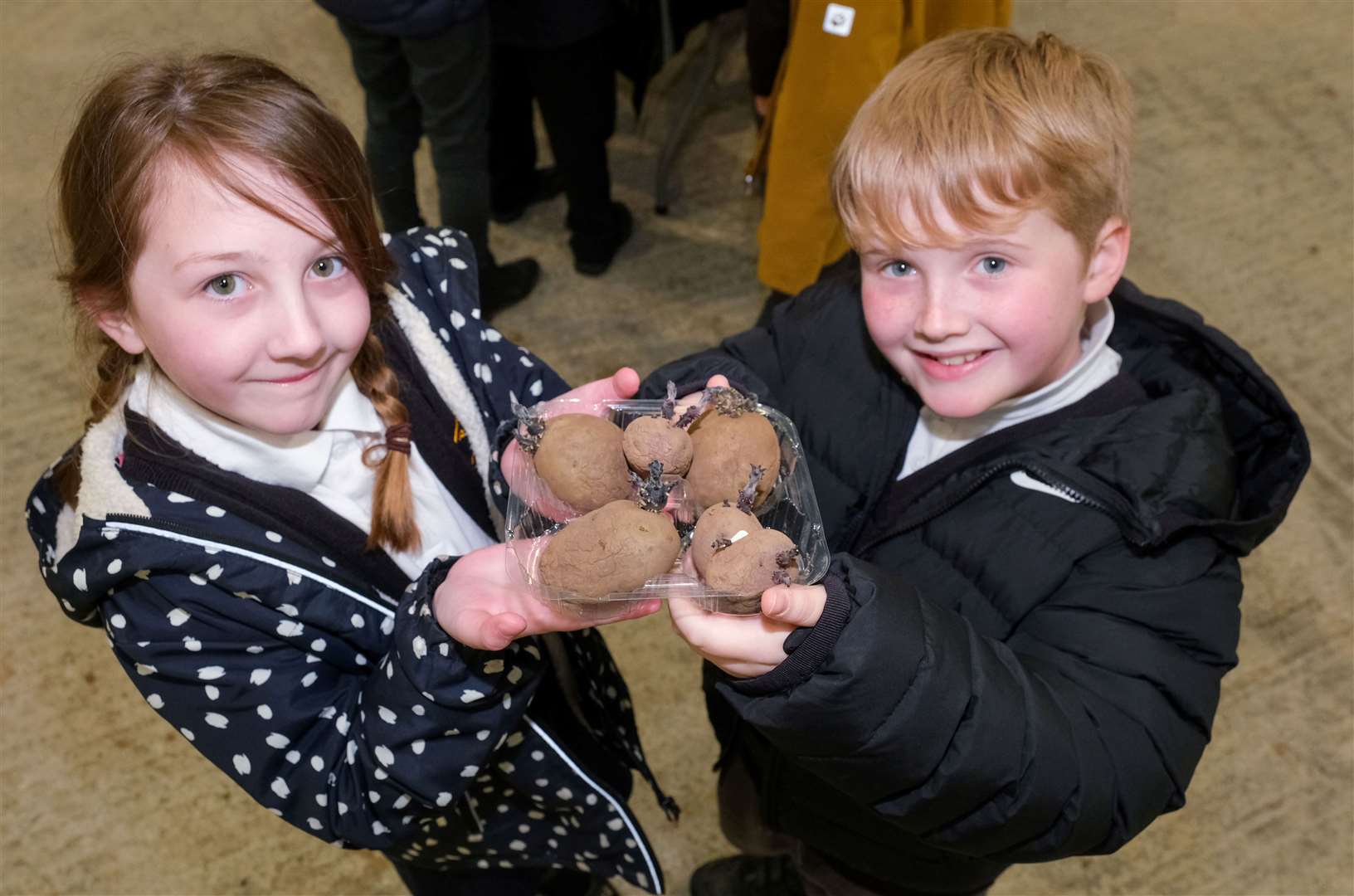 Robert Sandilands Primary School pupils preparing to plant their potatoes