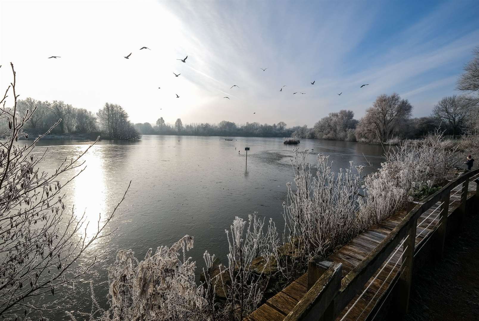 The frozen lake at Thatcham's Nature Discovery Centre