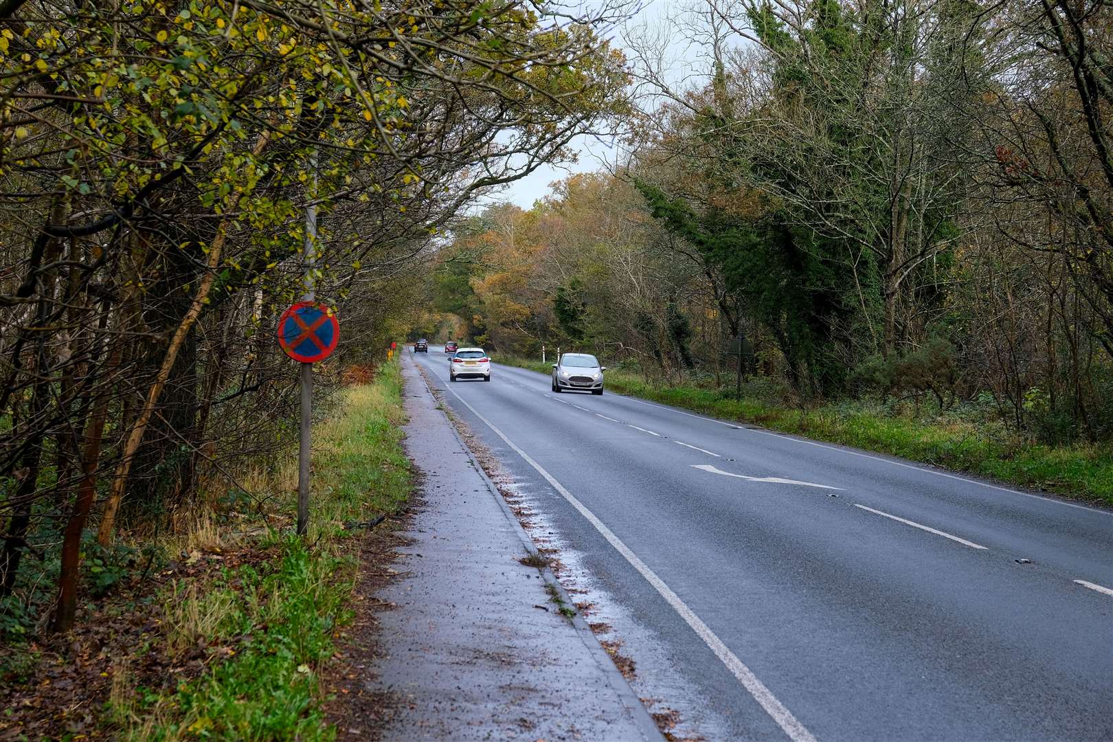 Newtown Parish Council has launched a petition to have a speed indicator device installed on the B4640 – better known as the Newtown Straight