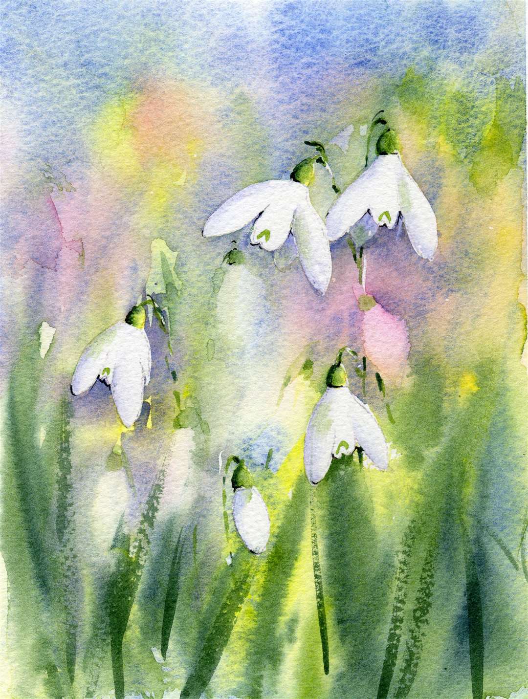 Snowdrops, Claire Warner
