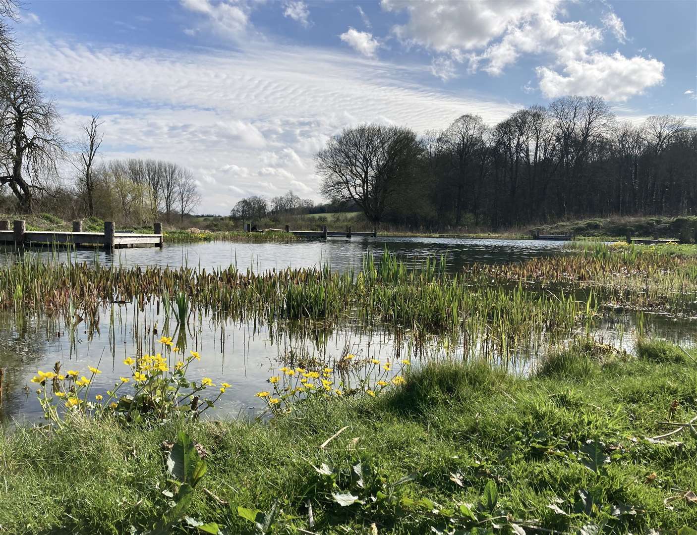 The picture was taken in Hampstead Norreys by Tracey Godsmark