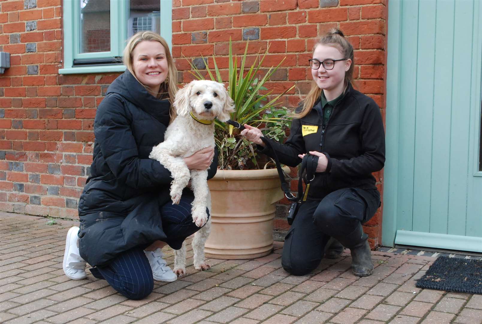 MP Laura Farris meets Gizmo the cockerpoo alongside canine carer Charlotte Stacey