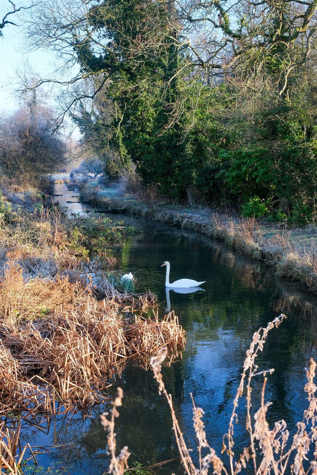 River Kennet at Barton Court