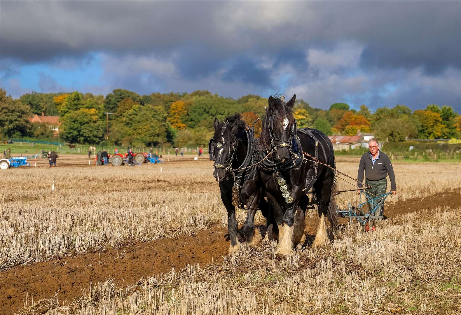 Newbury Ploughing Match
