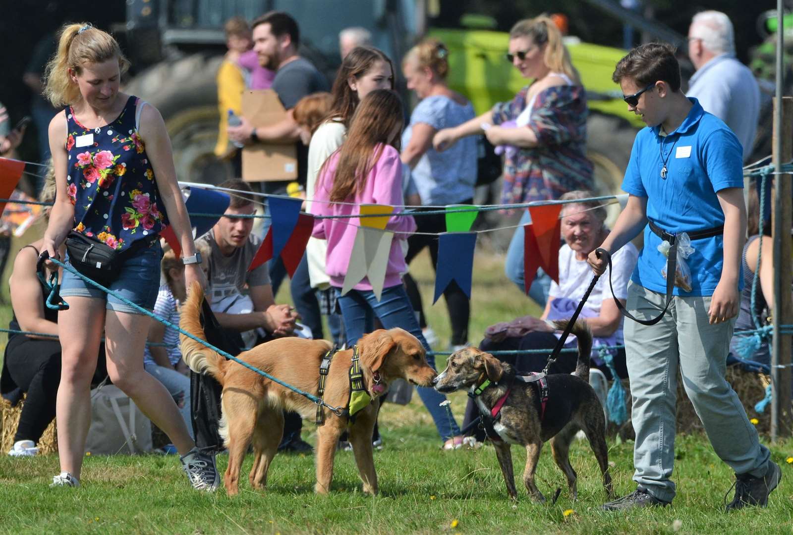 Pictures from last year's fair