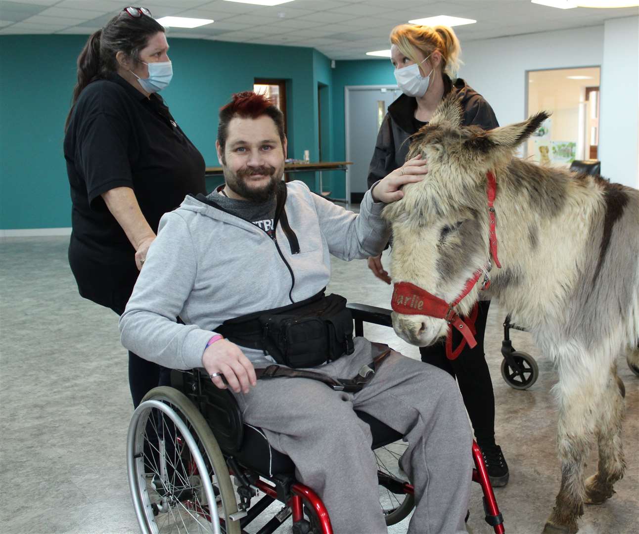 Charlie the donkey getting to know everyone. Picture by: Diamond Quality Care (55438151)