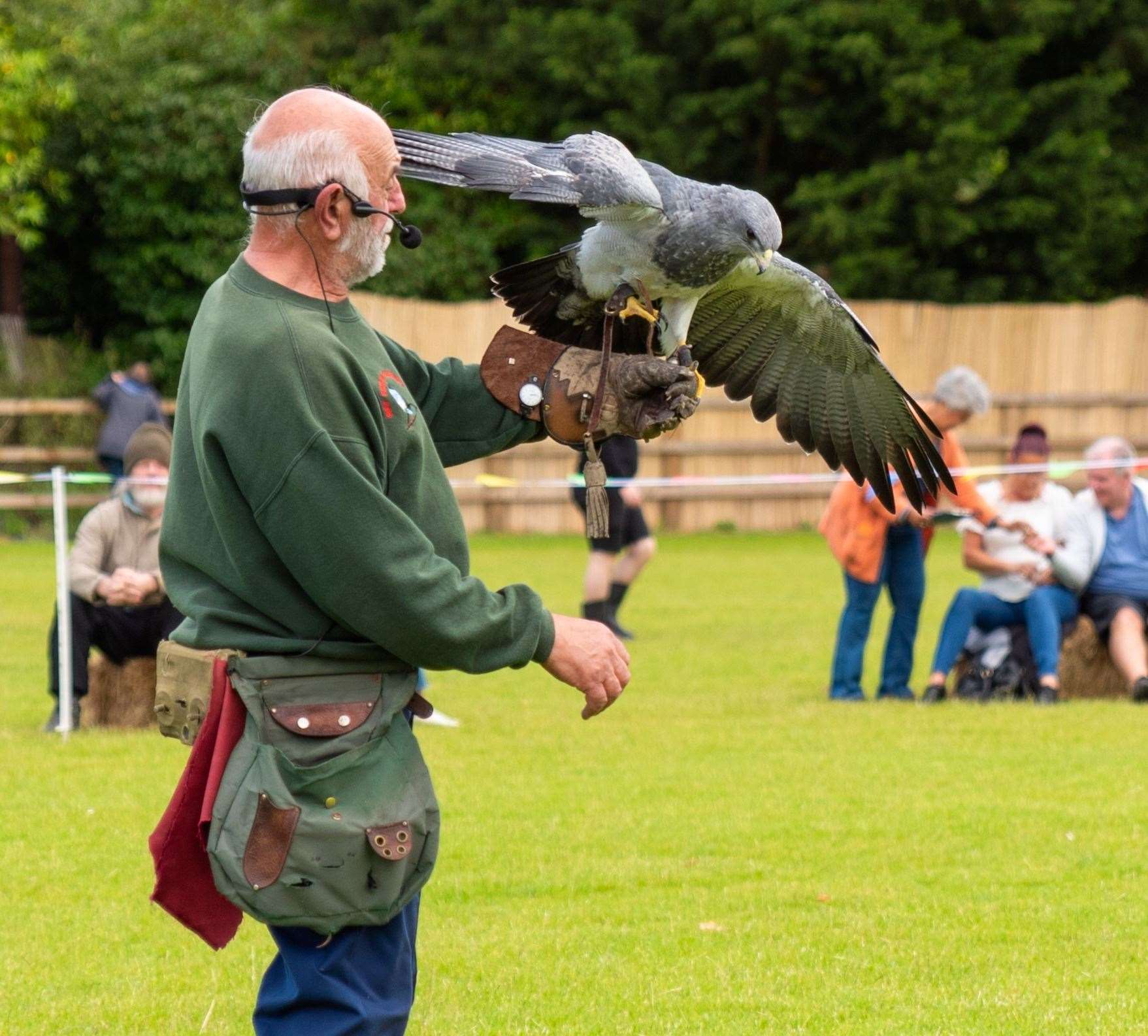 Ray Prior’s falconry display