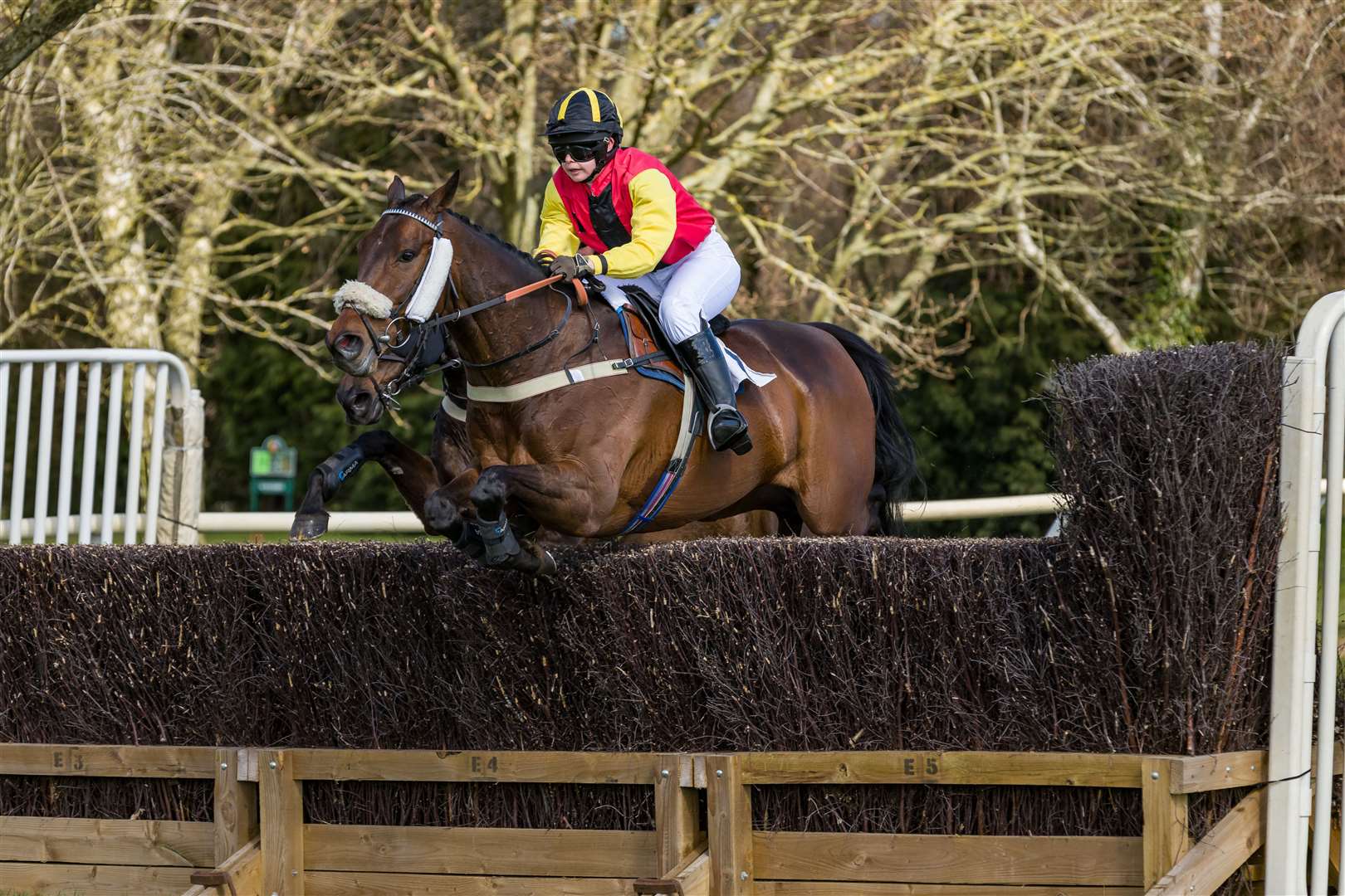Point to point racing