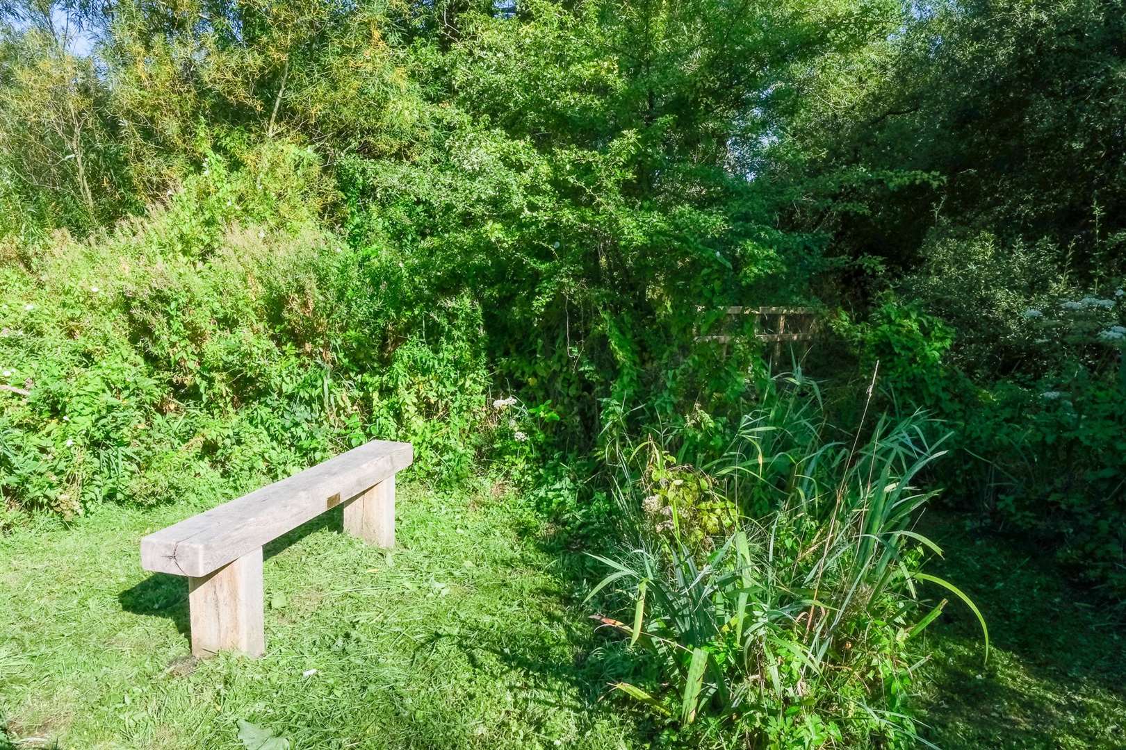 One of the benches the council put on the common