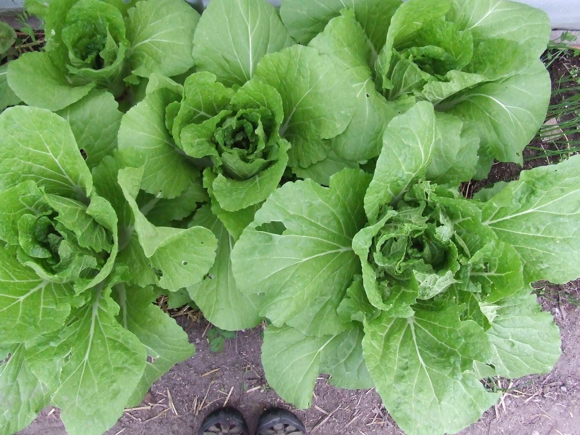 Latest figures show nearly 3/4 of millennials enjoy gardening