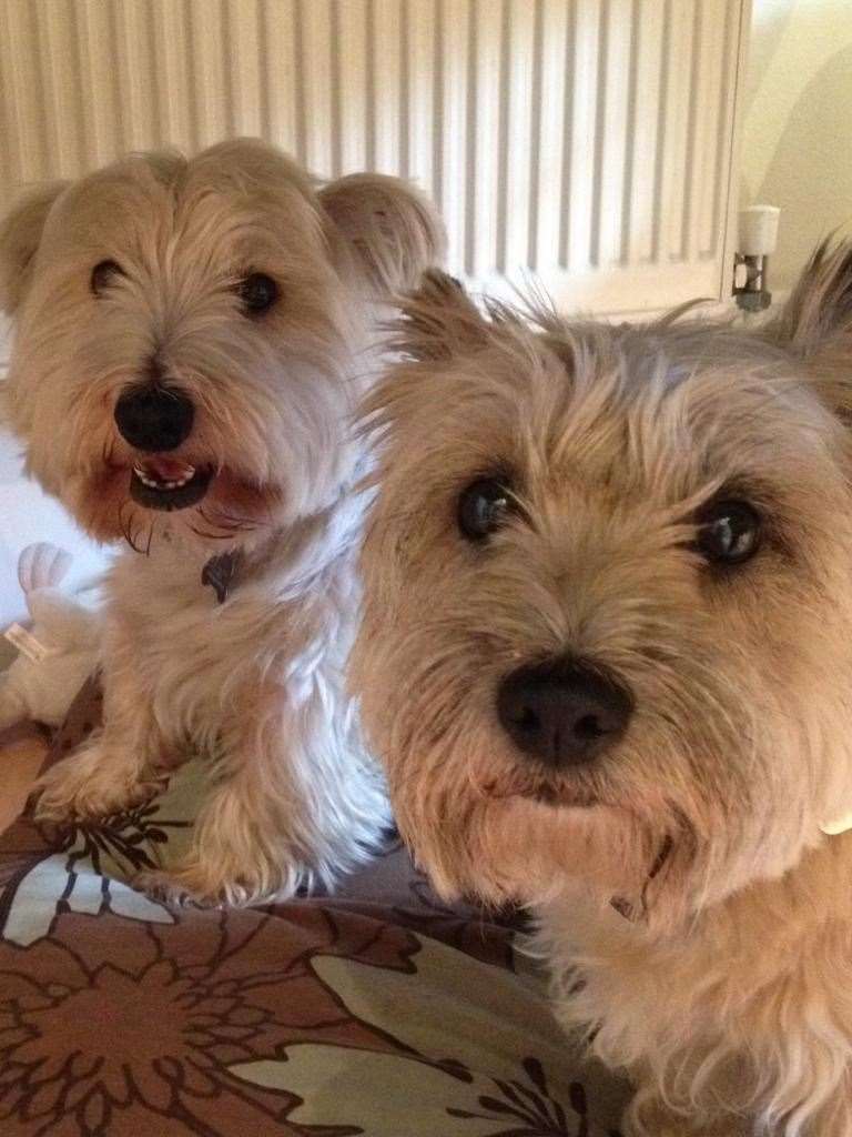 Albert and his friend