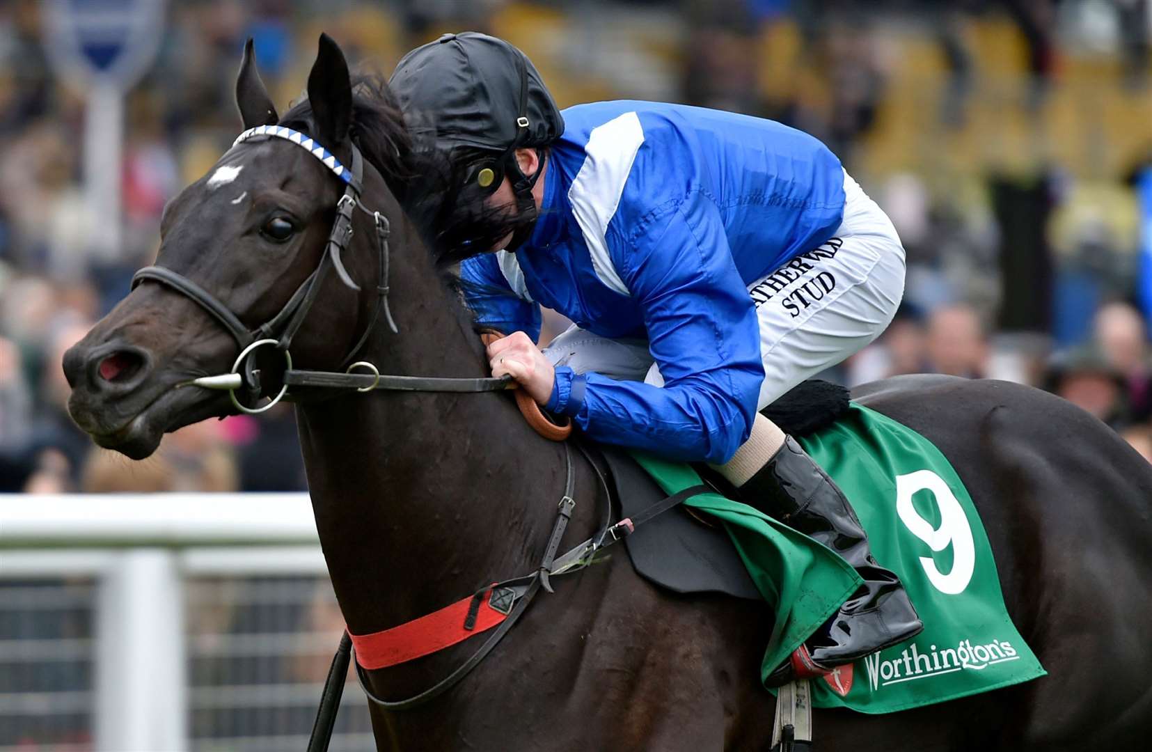 Mohaather won the race in 2019 | Pic: Francesca Altoft
