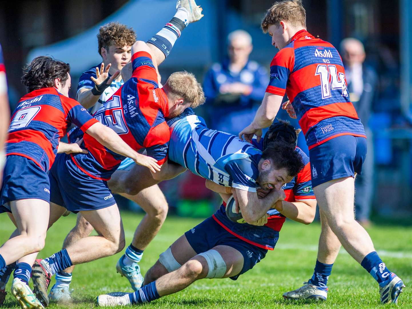 Newbury vs Chichester