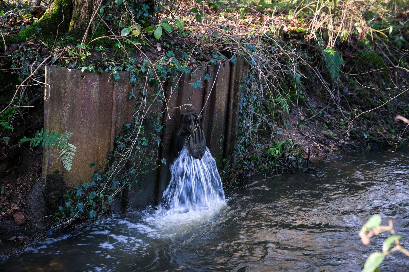 Hatt Common at Knights Lane, feeding into the River Enborne