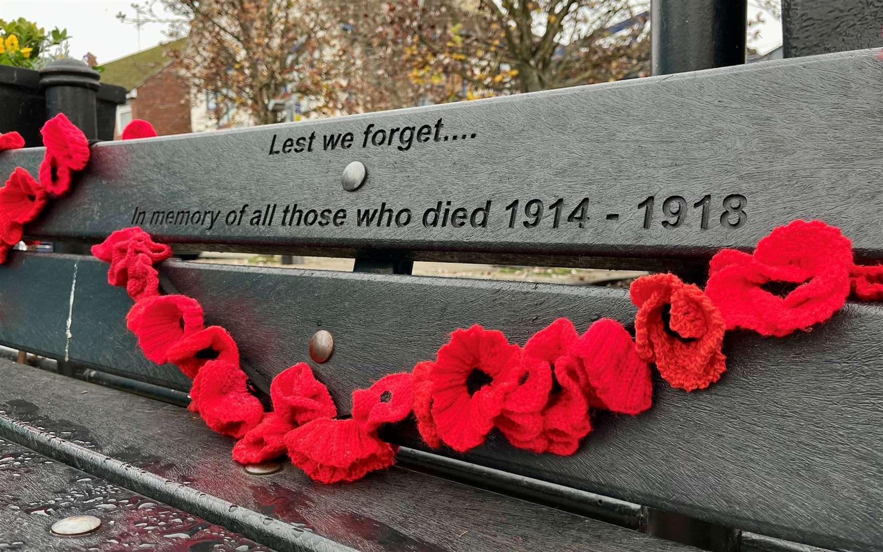 A bench adorned with poppies