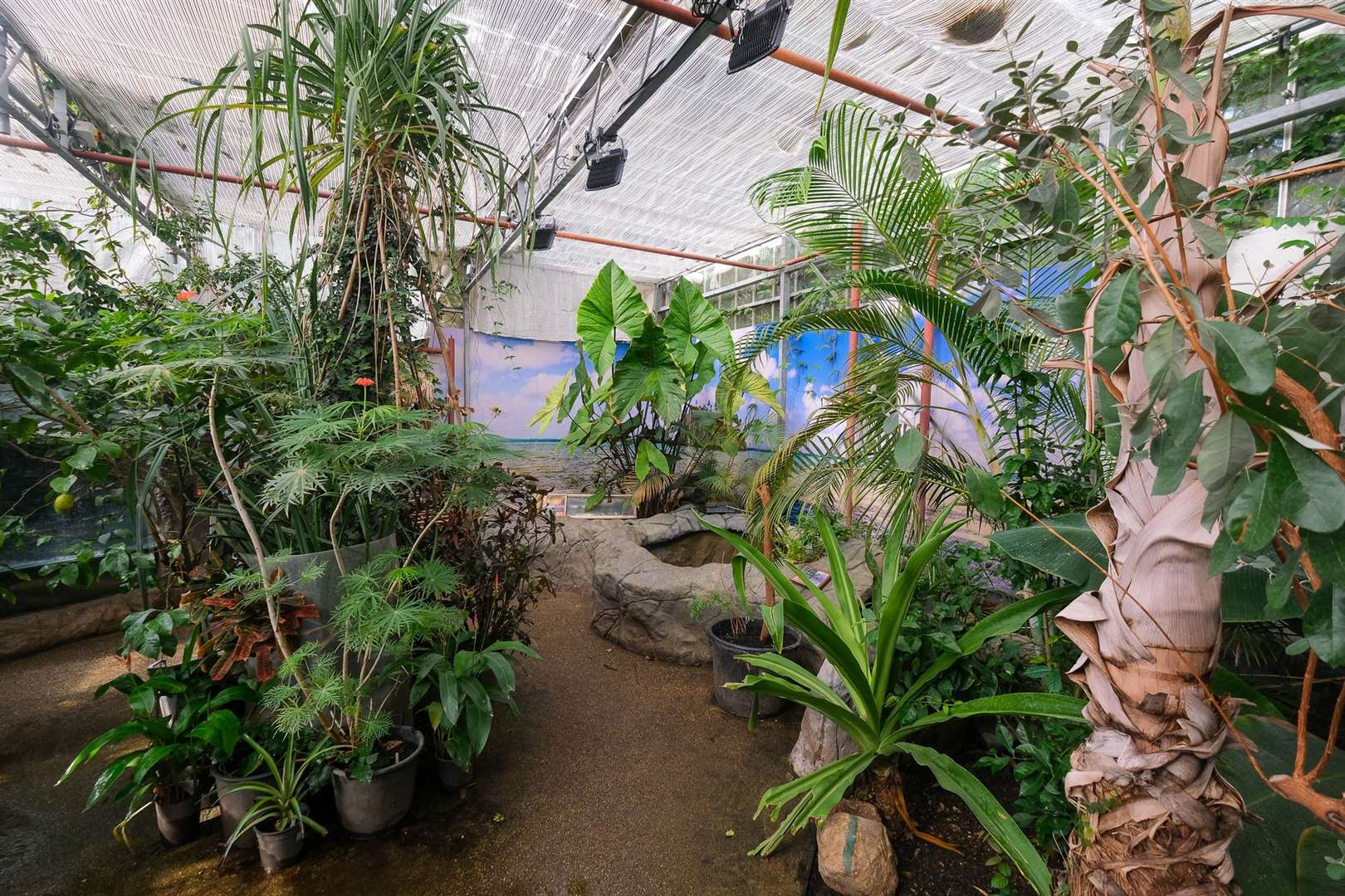 The Living Rainforest, in Hampstead Norreys, tops £12k in Energy Crisis