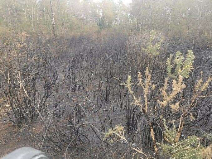 Damage caused by the fire in Wigmore Park (46391324)