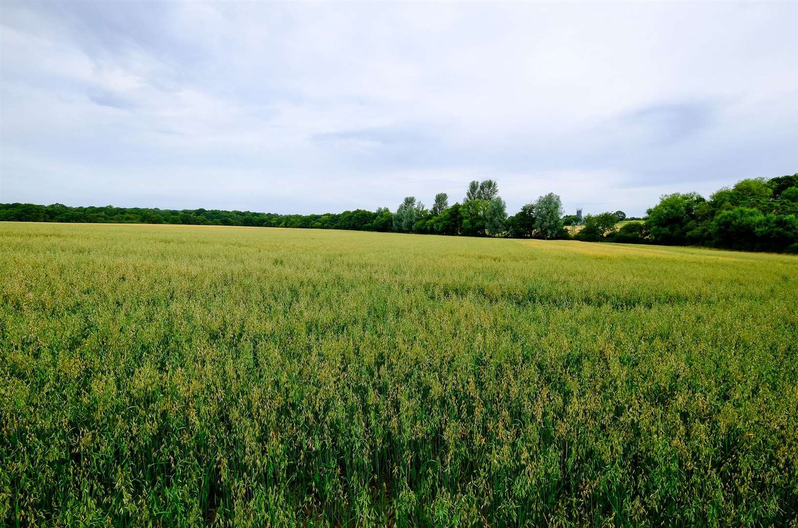 The land on Strattons Farm near Kingsclere