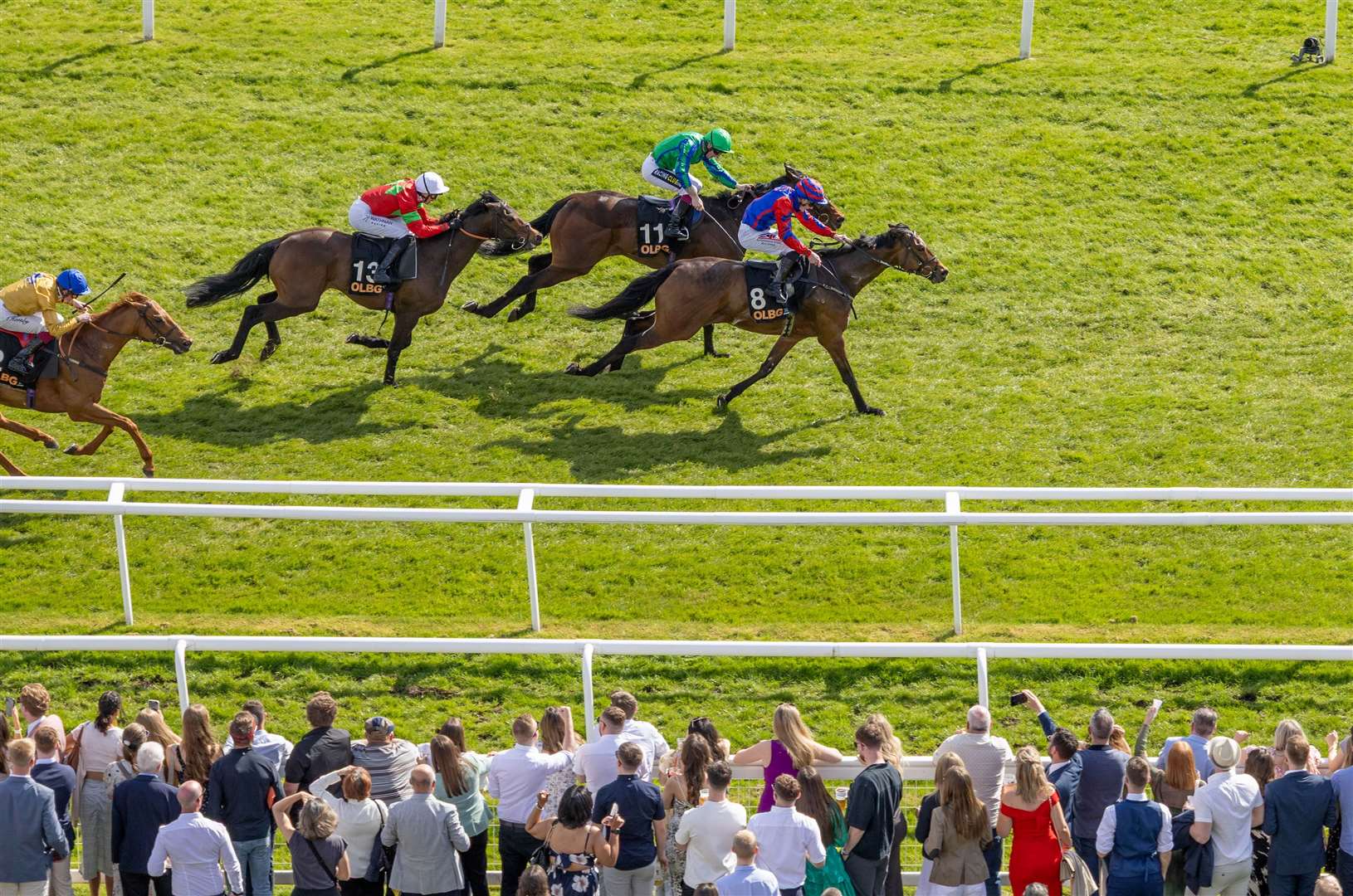 OLBG Spring Cup Handicap - Ebt's Guard