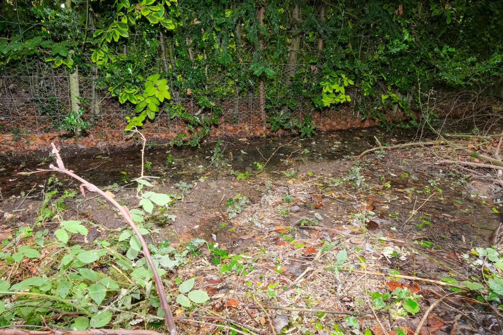 A pipe in Crookham Common has been leaking water for more than three months now