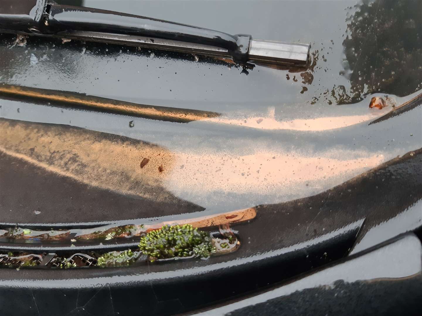 The dust cloud two weeks ago left an orange residue on cars and homes