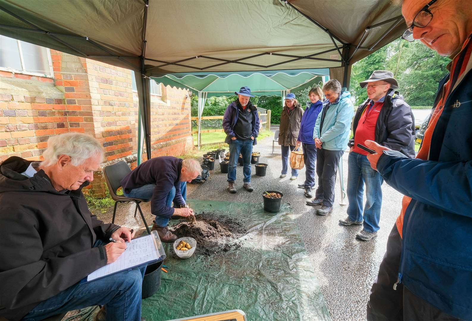 Weighing the entries of the potato competition