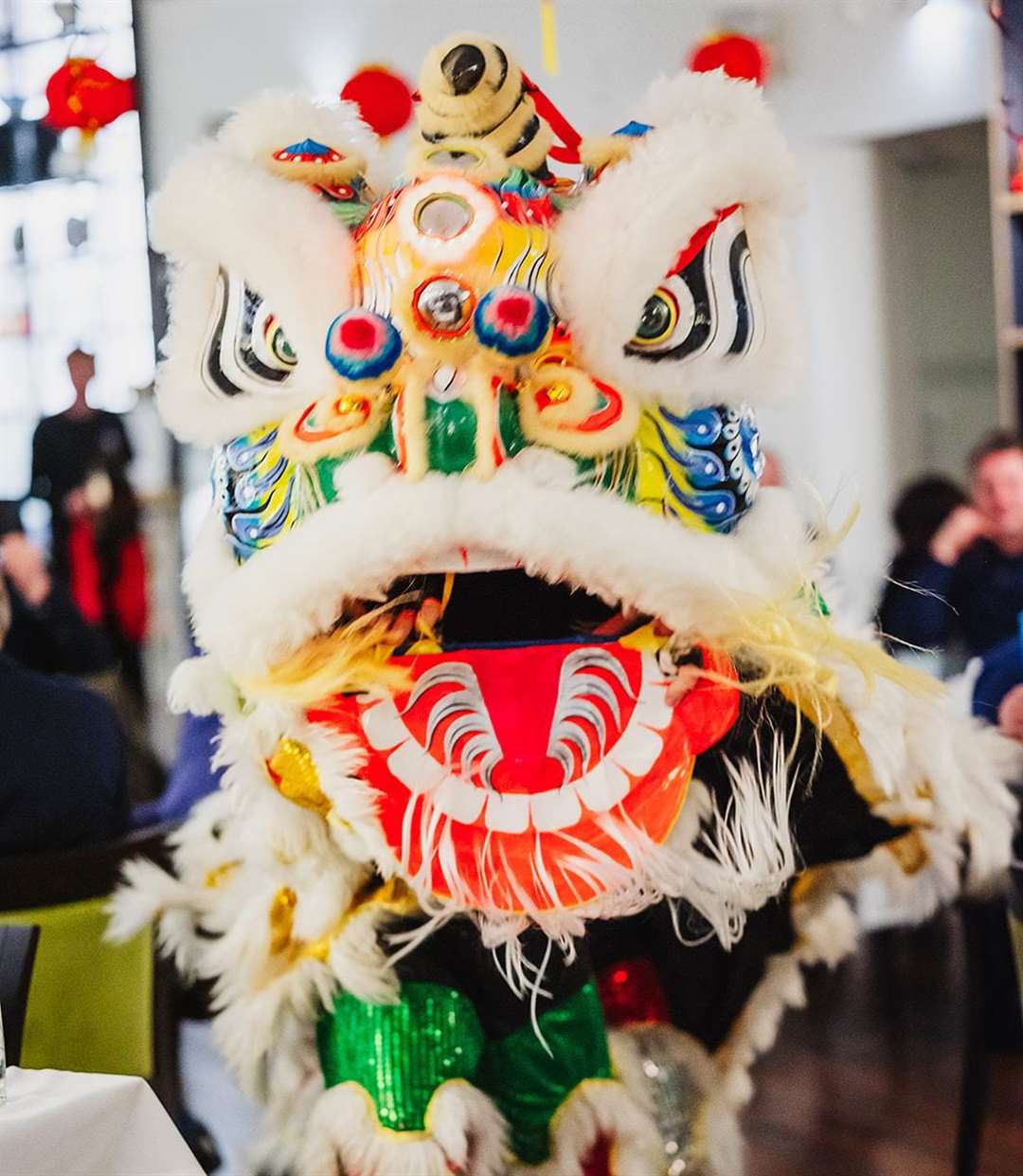 Thatcham Chinese New Year Market Lion Dance