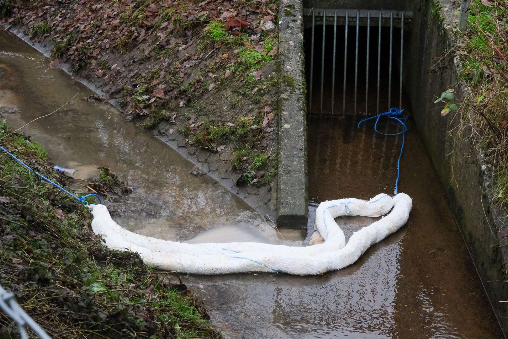Photos taken of the raw sewage spill on Wednesday, January 4