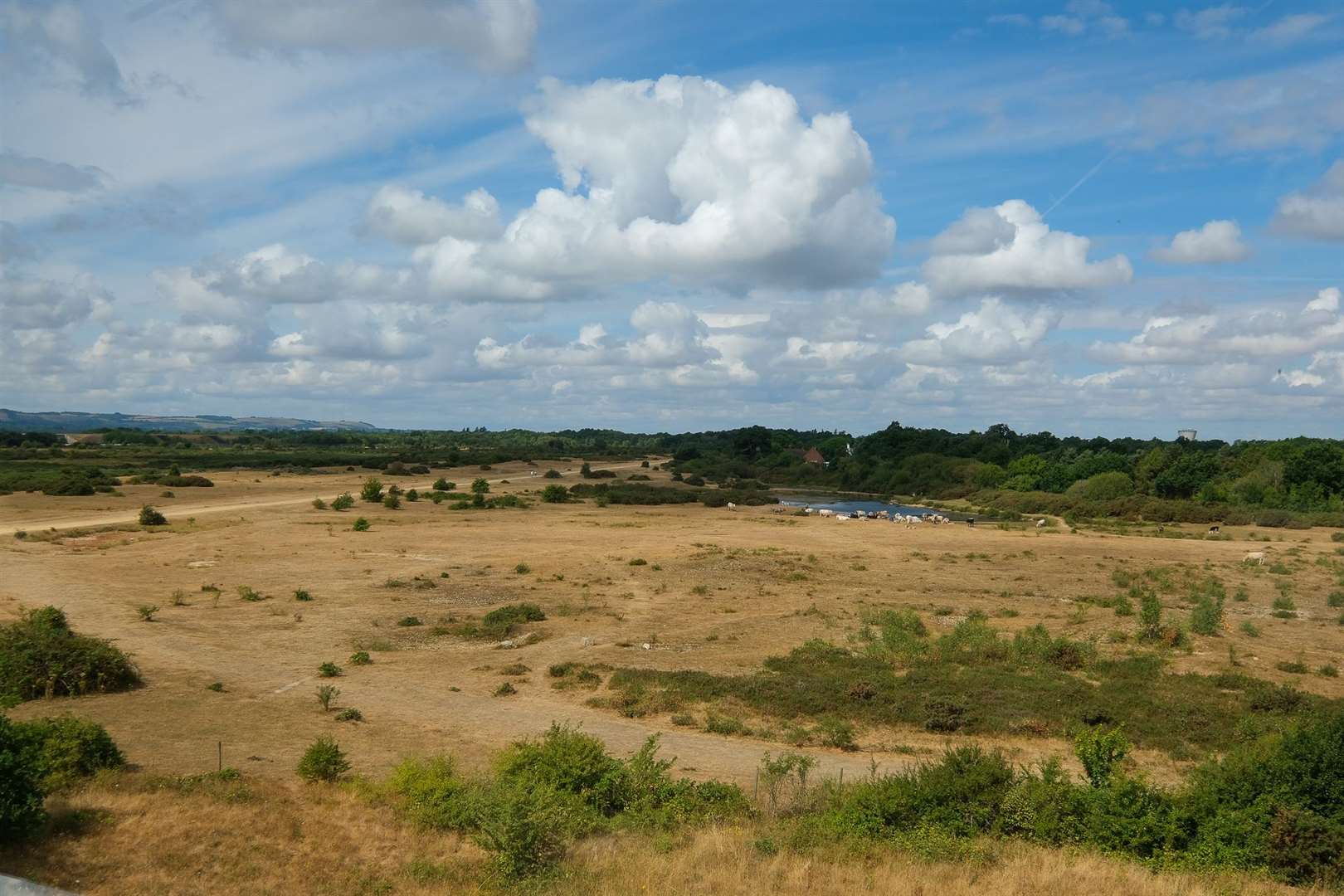 Greenham Common