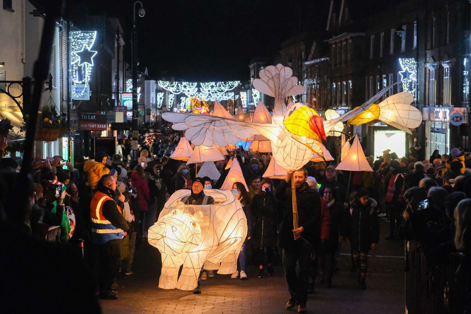 The Festival of Light in Newbury.