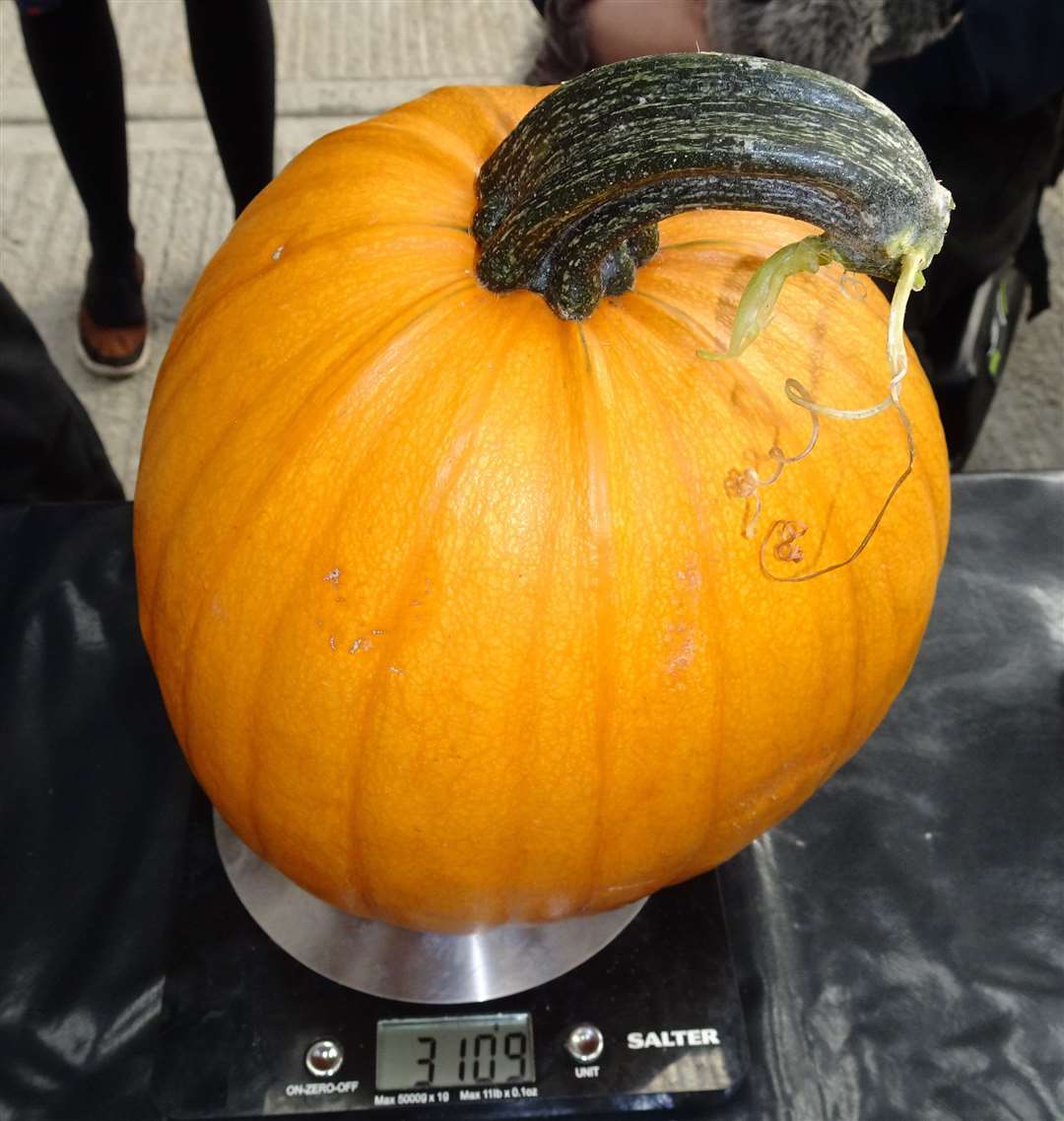 The Castle School pupils win the award for the heaviest pumpkin!