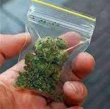 Cannabis