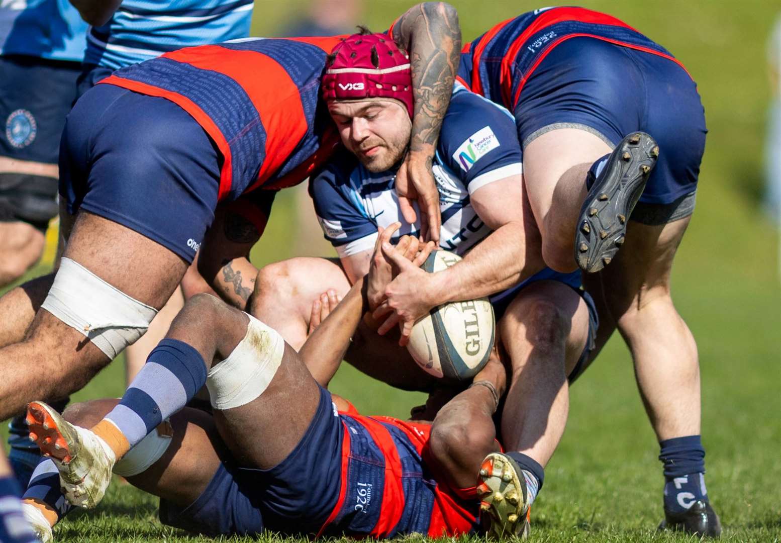 Newbury vs Chichester
