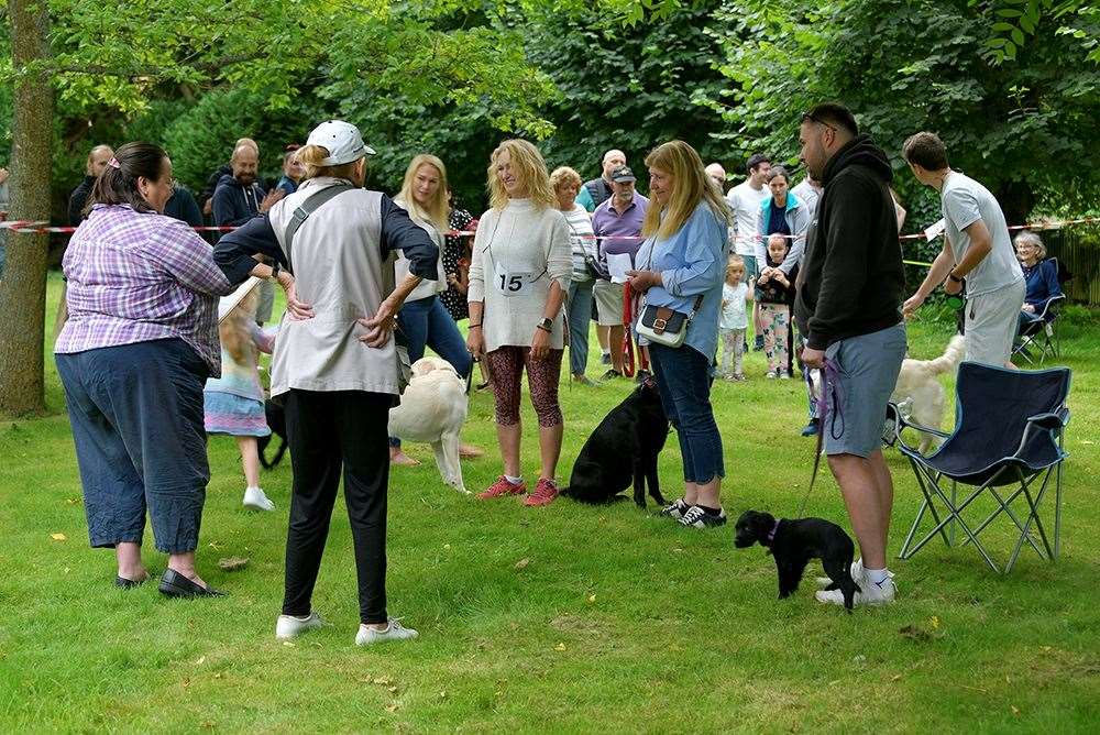 This year's St Mary's Kingsclere Village Fete raised over £12,000, credit: MOL Photography