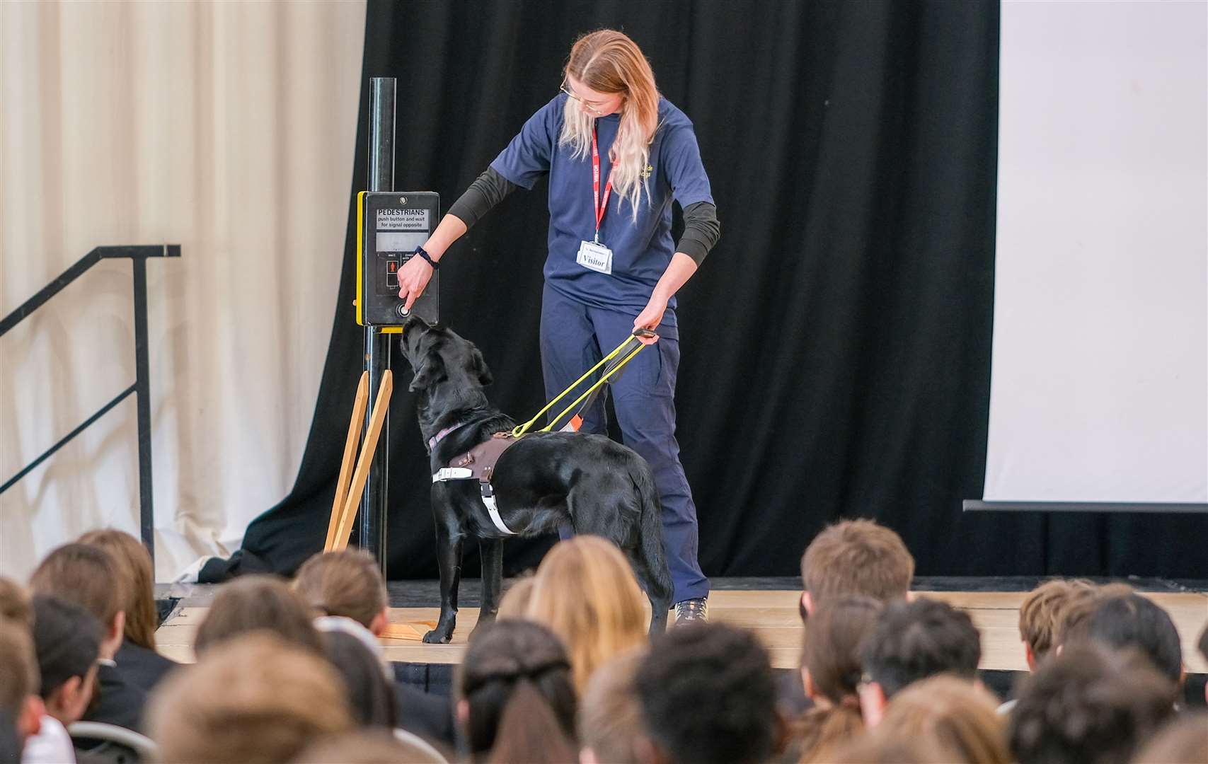 St Bart’s Patterson pupils had a visit from guide dog in training Luker