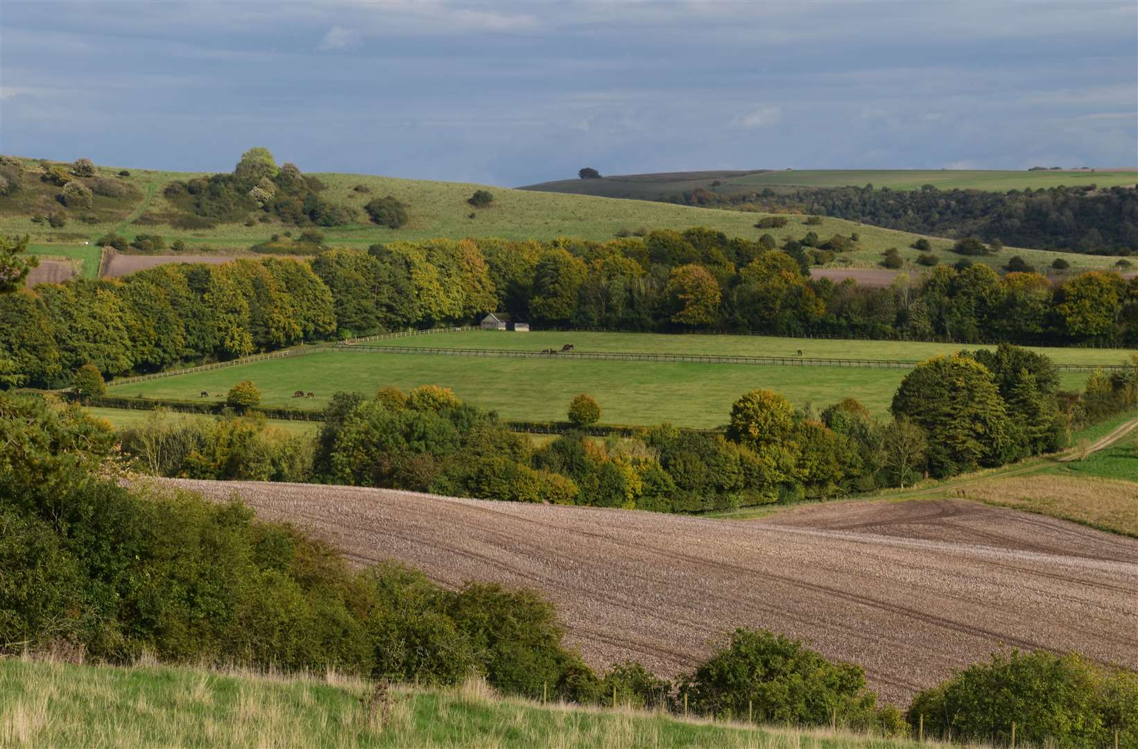 The view over Highclere Stud to Ladle Hill taken from the Wayfarer’s Walk above Highclere