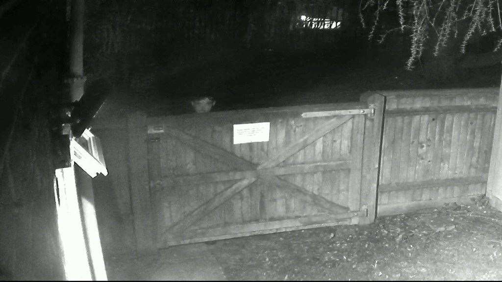 The second CCTV image from the incident on March 27 (57903068)