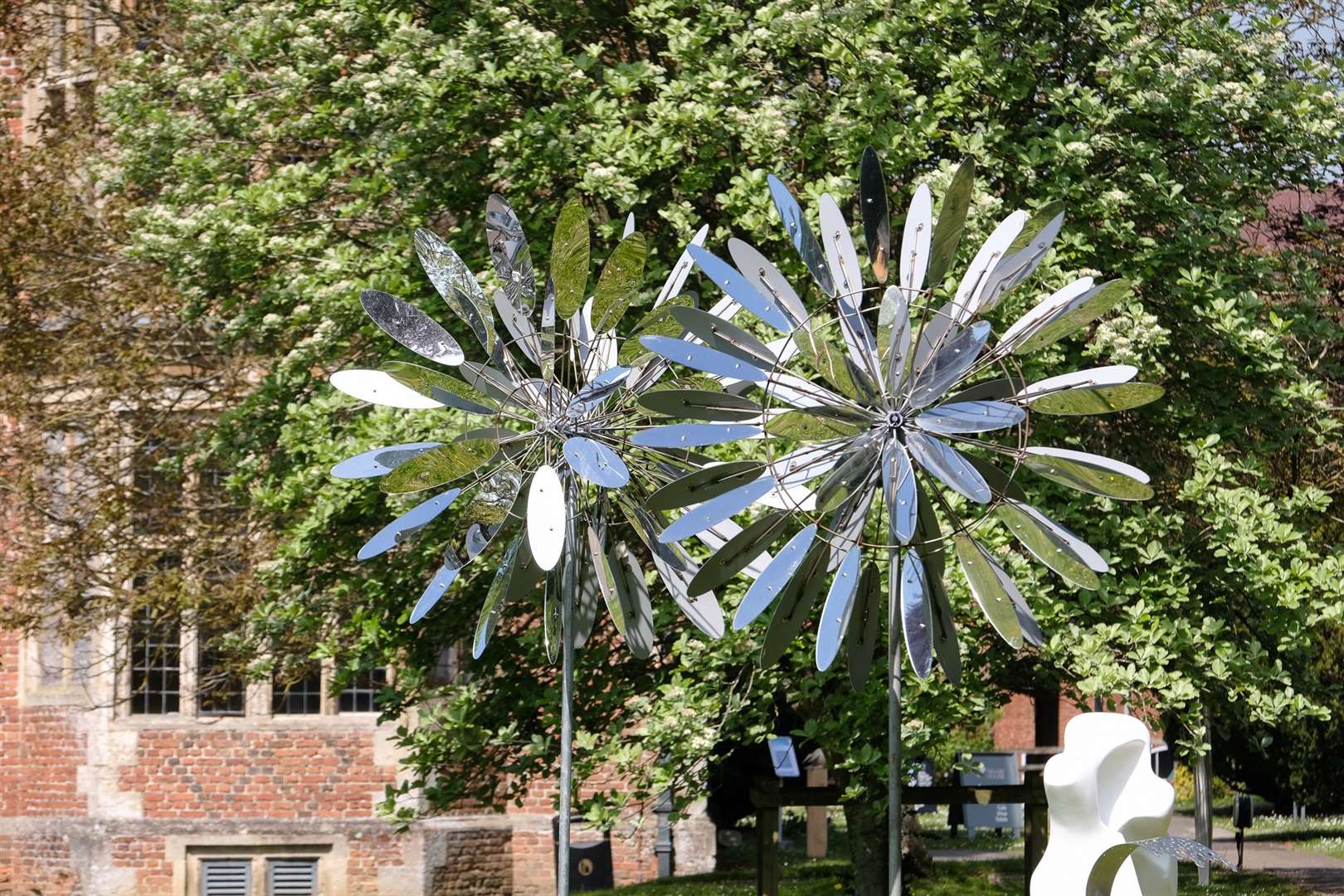 Michael Chaikin – Silver Flower Ref: 22-0821 Picture by Phil Cannings