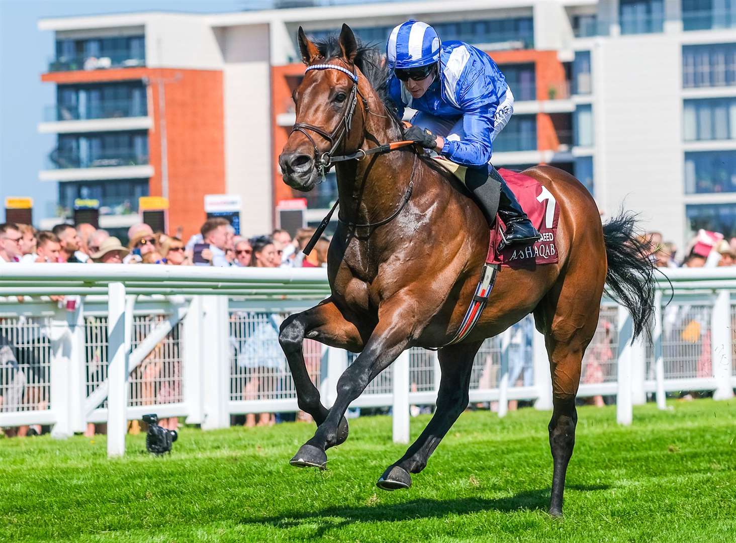 Baaeed wins the Lockinge Stakes