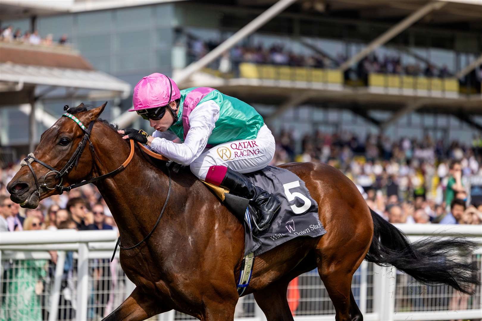 Watership Down Stud Too Darn Hot Greenham Stakes - Jonquil