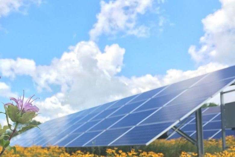 An example of what the Aldermaston Road solar farm could look like if plans are adopted. RWE, who is mooting the scheme, promises works to increase biodiversity