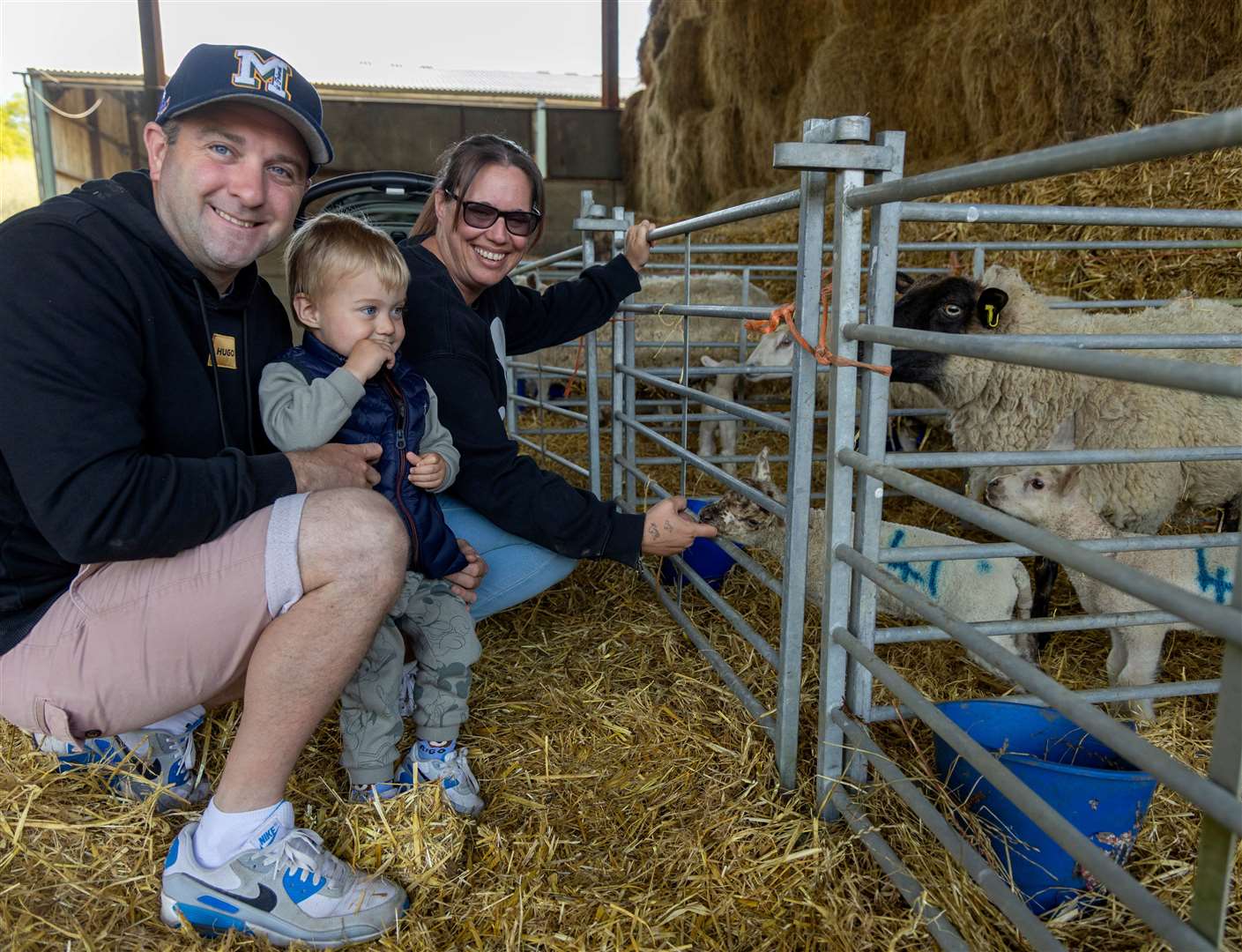 Lambing day at Foxglove Farm