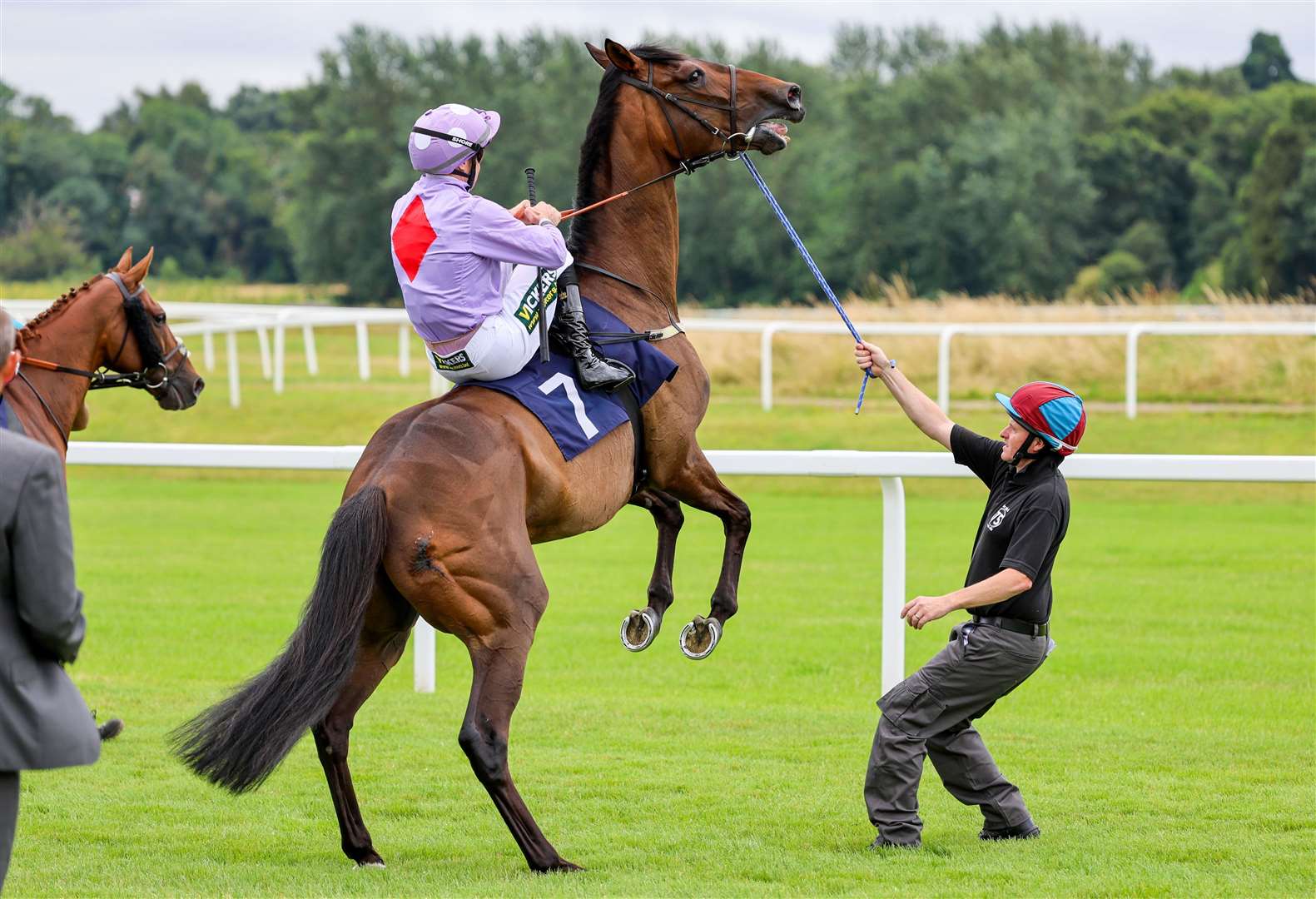 Racing returns at Newbury this Saturday
