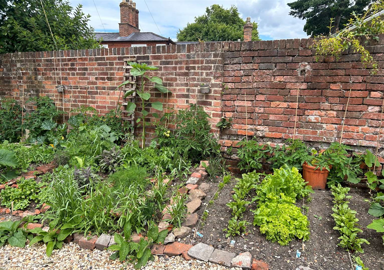 The new communal garden at Upper Raymond’s Almshouses